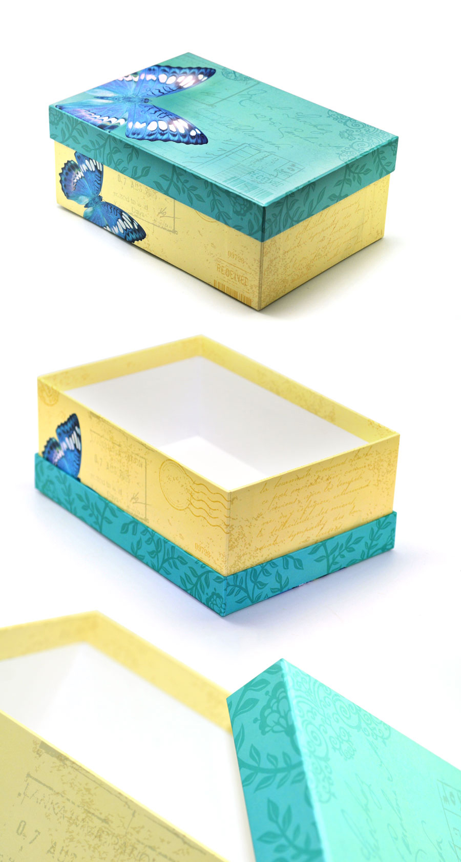Butterfly-Rigid-box
